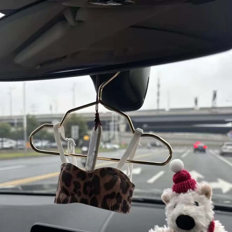 Mini Lingerie Car Ornament, Cu - Interior Design Years recensie en prijs